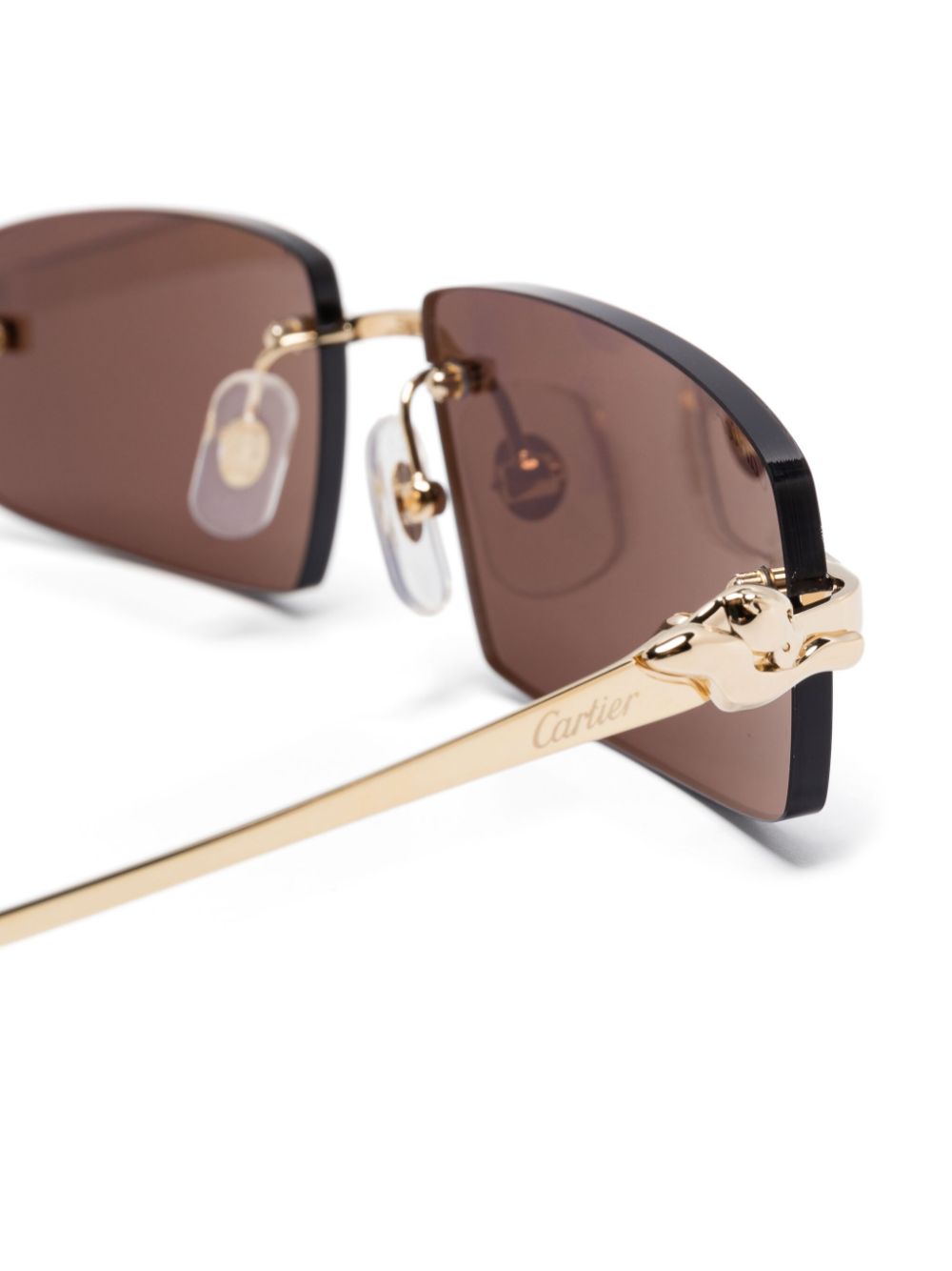 Cartier フォトフレーム CT0518O Eyeglasses - Cartier Authorized Retailer