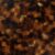 Tortoiseshell