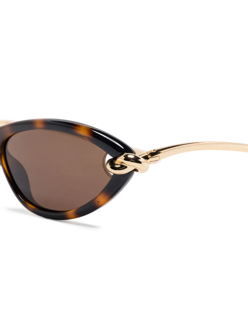 28534488_58037419_1000